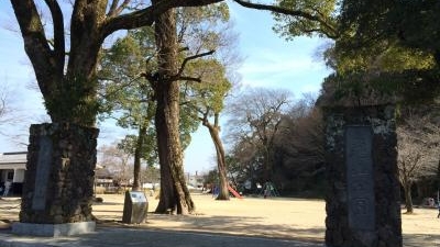 亀山公園 大分県日田市大字庄手 近隣公園 Yahoo ロコ