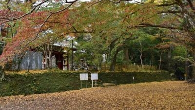 小松寺 千葉県南房総市千倉町大貫 紅葉 Yahoo ロコ