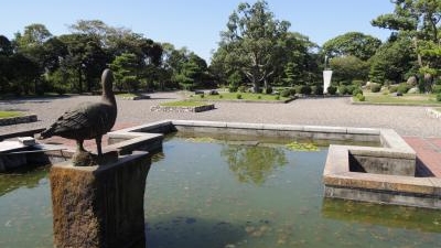 弥富野鳥園 愛知県弥富市上野町 動物園 Yahoo ロコ