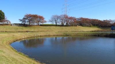 小畔水鳥の郷公園 埼玉県川越市吉田新町 Yahoo ロコ