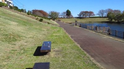 小畔水鳥の郷公園 埼玉県川越市吉田新町 Yahoo ロコ