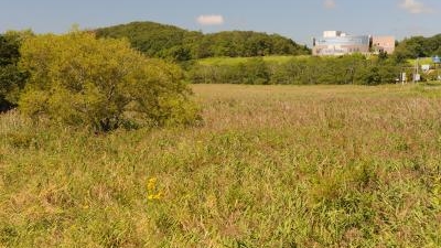 霧多布湿原センター 北海道厚岸郡浜中町四番沢 サービス Yahoo ロコ