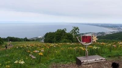 オーンズ春香山ゆり園 北海道小樽市春香町 Yahoo ロコ