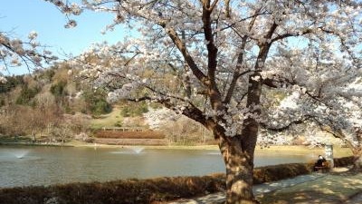 堂ノ前公園 山形県東根市大字東根 近隣公園 Yahoo ロコ