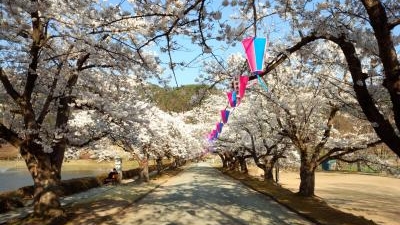 堂ノ前公園 山形県東根市大字東根 近隣公園 Yahoo ロコ