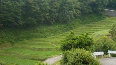 国見の棚田 栃木県那須烏山市小木須 Yahoo ロコ