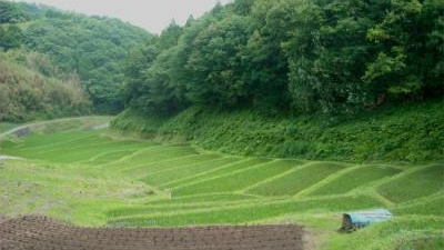 国見の棚田 栃木県那須烏山市小木須 Yahoo ロコ