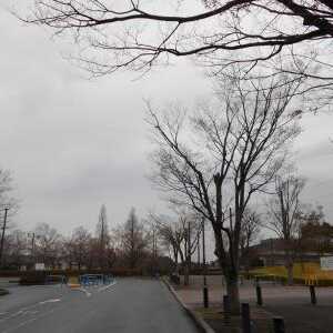 四街道総合公園 千葉県四街道市上野 Yahoo ロコ