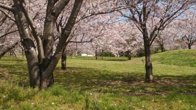 富津市民ふれあい公園 千葉県富津市青木 Yahoo ロコ