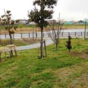 美南中央公園 埼玉県吉川市美南 近隣公園 Yahoo ロコ