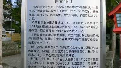 椙本神社 伊野の大国さま 高知県吾川郡いの町大国町 神社 増強用 Yahoo ロコ