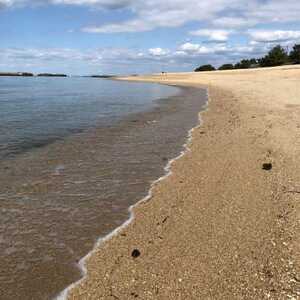 ぴちぴちビーチ 箱作海水浴場 大阪府阪南市箱作 Yahoo ロコ