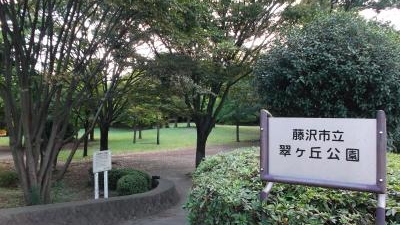 翠ケ丘公園 神奈川県藤沢市西富 近隣公園 Yahoo ロコ