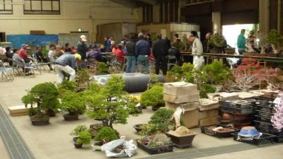 株式会社埼玉県花植木流通センター 埼玉県深谷市櫛引 園芸用品店 Yahoo ロコ