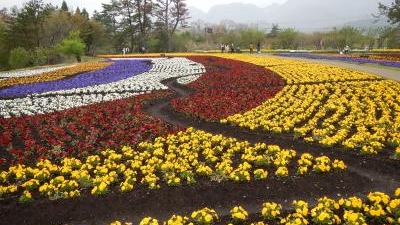 くじゅう花公園 大分県竹田市久住町大字久住 公園 緑地 Yahoo ロコ