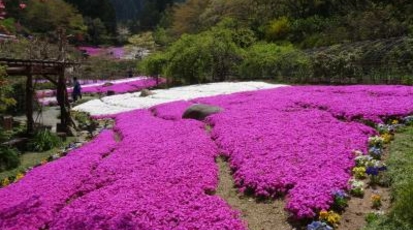 花の郷 滝谷花しょうぶ園 奈良県宇陀市室生瀧谷 うどん カフェ スイーツ Yahoo ロコ