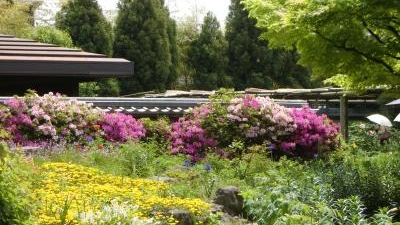 筥崎宮神苑花庭園 福岡県福岡市東区箱崎 神社 Yahoo ロコ