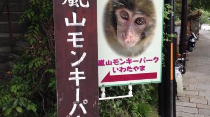 嵐山モンキーパークいわたやま 京都府京都市西京区嵐山中尾下町 動物園 Yahoo ロコ