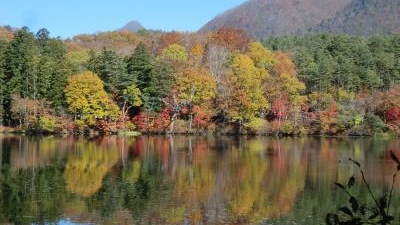 観音沼森林公園 福島県南会津郡下郷町大字野際新田 Yahoo ロコ