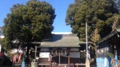 成宗須賀神社 東京都杉並区成田東 Yahoo ロコ