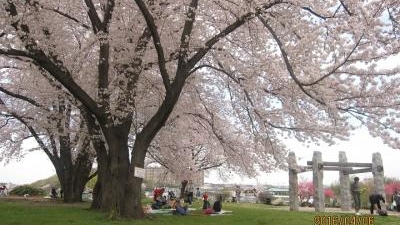 中川八幡山公園 神奈川県横浜市都筑区中川 近隣公園 Yahoo ロコ