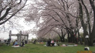 中川八幡山公園 神奈川県横浜市都筑区中川 近隣公園 Yahoo ロコ