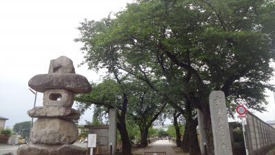 普済寺 東京都立川市柴崎町 寺院 Yahoo ロコ