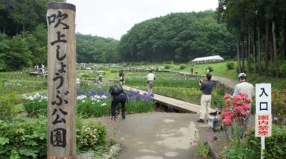 吹上しょうぶ公園 東京都青梅市吹上 観光公園 Yahoo ロコ