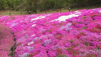 西脇市立東はりまフォルクスガーデン黒田庄 兵庫県西脇市黒田庄町喜多 植物園 Yahoo ロコ