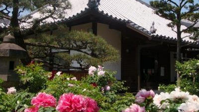 石光寺 奈良県葛城市染野 花の名所 Yahoo ロコ