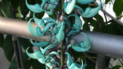 国立科学博物館筑波実験植物園 茨城県つくば市天久保 植物園 Yahoo ロコ