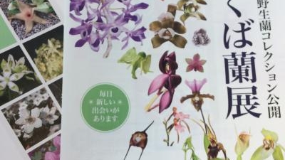 国立科学博物館筑波実験植物園 茨城県つくば市天久保 博物館 Yahoo ロコ