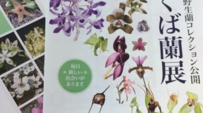 国立科学博物館筑波実験植物園 茨城県つくば市天久保 植物園 Yahoo ロコ