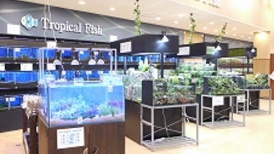 ペットコミニティプラザpcp千葉北店 ロイヤルホームセンター内 千葉県千葉市稲毛区六方町 グッズ販売 Yahoo ロコ