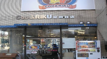 ペットショップcoo Riku 世田谷店 東京都世田谷区南烏山 ペットショップ Yahoo ロコ