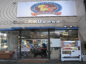 ペットショップcoo Riku 世田谷店 東京都世田谷区南烏山 ペットショップ Yahoo ロコ