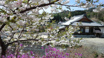 観音寺 広島県広島市佐伯区坪井町 Yahoo ロコ