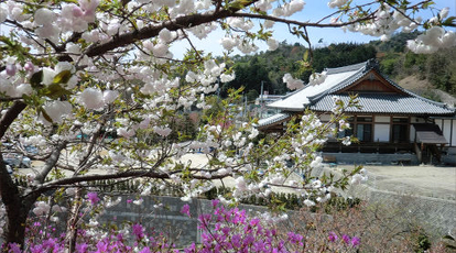 観音寺 広島県広島市佐伯区坪井町 目標建物 Yahoo ロコ