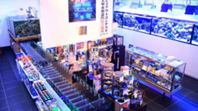 海水魚専門店ナチュラルマリンクラブ 茨城県那珂郡東海村大字石神外宿 ペットショップ Yahoo ロコ