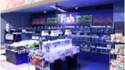 ワンラブ カインズホーム仙台港店 宮城県仙台市宮城野区中野 ペット ペット用品 Yahoo ロコ