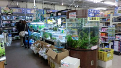 Aqua Proshop マナウス草加店 埼玉県草加市谷塚仲町 専門ショップ Yahoo ロコ