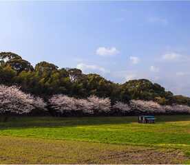 太宰府市民の森 福岡県太宰府市観世音寺 Yahoo ロコ