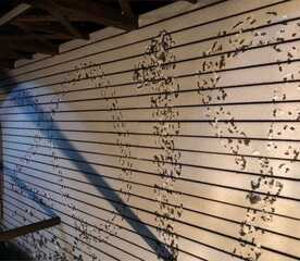 やきもの本舗 富士宮店 静岡県富士宮市万野原新田 お好み焼き Yahoo ロコ