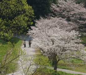 太宰府市民の森 福岡県太宰府市観世音寺 Yahoo ロコ