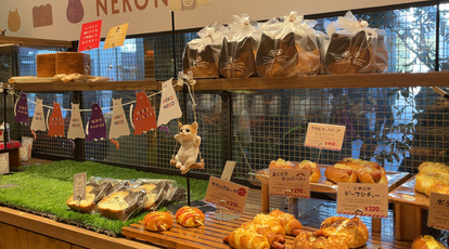 ねこねこ食パン 博多マルイ店 福岡県福岡市博多区博多駅中央街 ベーカリー Yahoo ロコ