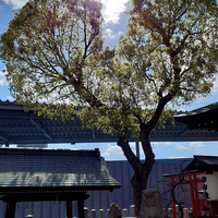 脇浜 南宮宇佐八幡神社の写真