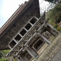 西蓮寺の写真