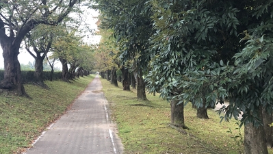 富山県常願寺川公園サイクリングロード 富山県中新川郡立山町西芦原 その他のスポーツ施設 小規模 Yahoo ロコ