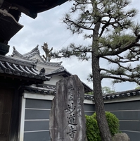 妙道寺の写真