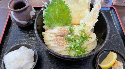 手打ちうどん やす坊(岡山県岡山市東区西大寺上/うどん) - Yahoo!ロコ